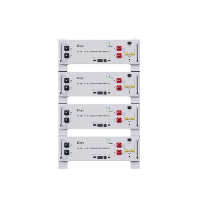 Акумуляторна батарея Deye SE-G5.1 Pro-B LiFePO4 51,2V 100Ah