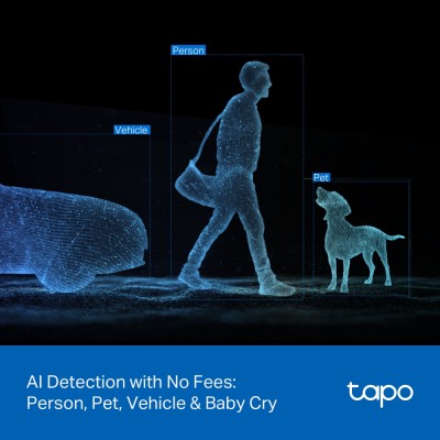 Камера IP з подвійним об'єктивом TP-LINK Tapo C246D 3MP N300 microSD motion detection