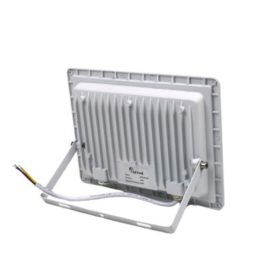 Прожектор світлодіодний Lightwell LW-FL-W-100 100 W