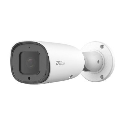 IP-камера 2 Мп ZKTeco BL-852Q38A-LP с распознаванием автономеров