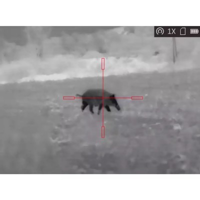 Тепловізійний приціл AGM Rattler TS35-384 з інфрачервоним детектором та дисплеєм Тепловізійний приціл AGM Rattler TS35-384 з інфрачервоним детектором та дисплеєм