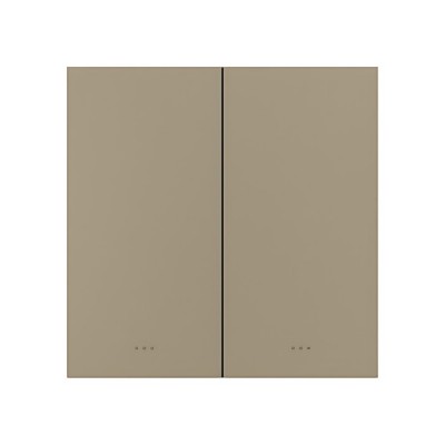 Умный выключатель света на 2 канала ZigBee Akubela SM-2G Gold Умный выключатель света на 2 канала ZigBee Akubela SM-2G Gold