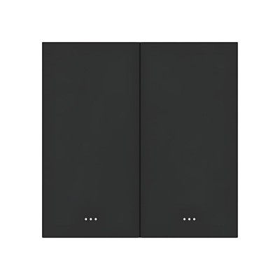 Умный выключатель света на 2 канала ZigBee Akubela SM-2G Black Умный выключатель света на 2 канала ZigBee Akubela SM-2G Black