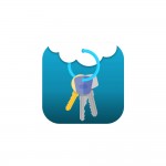 Цифровий ключ Lumiring ViKEY для використання в застосунку ViKEY Wallet