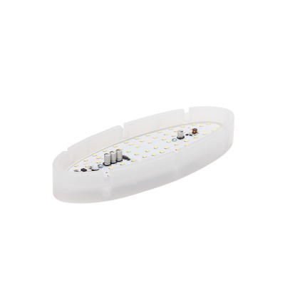 Светильник ERKA 1165 LED-P 12 W 6000К овальный прозрачный/прозрачный IP 65