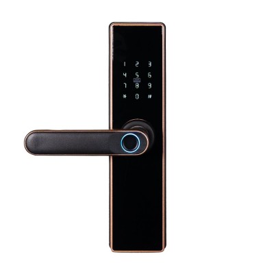 Замок биометрический автономный Trinix TRL-5402BTF Bronze с Bluetooth, считывателем отпечатков пальцев и карт Mifare Замок биометрический автономный Trinix TRL-5402BTF Bronze с Bluetooth, считывателем отпечатков пальцев и карт Mifare