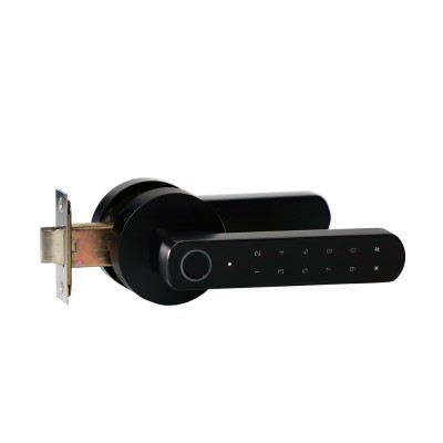 Замок біометричний автономний Trinix TRL-5205BTF Tuya Black з Bluetooth і зчитувачем відбитків пальців Замок біометричний автономний Trinix TRL-5205BTF Tuya Black з Bluetooth і зчитувачем відбитків пальців