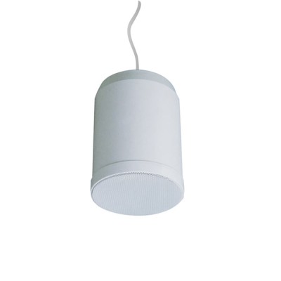 Подвесной громкоговоритель CMX PSK-20PKEN Подвесной громкоговоритель CMX PSK-20PKEN