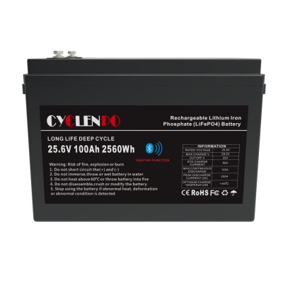 Аккумуляторная батарея литий-железо-фосфатная 25.6В 100Аг Cyclen 25.6V 100AH LiFePo4 (подогрев/Bluetooth)